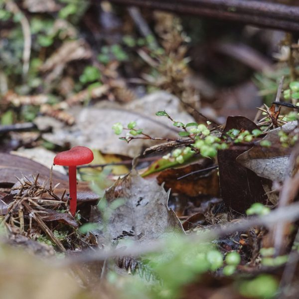 phill-brown-xbDxErCWGnc-unsplash